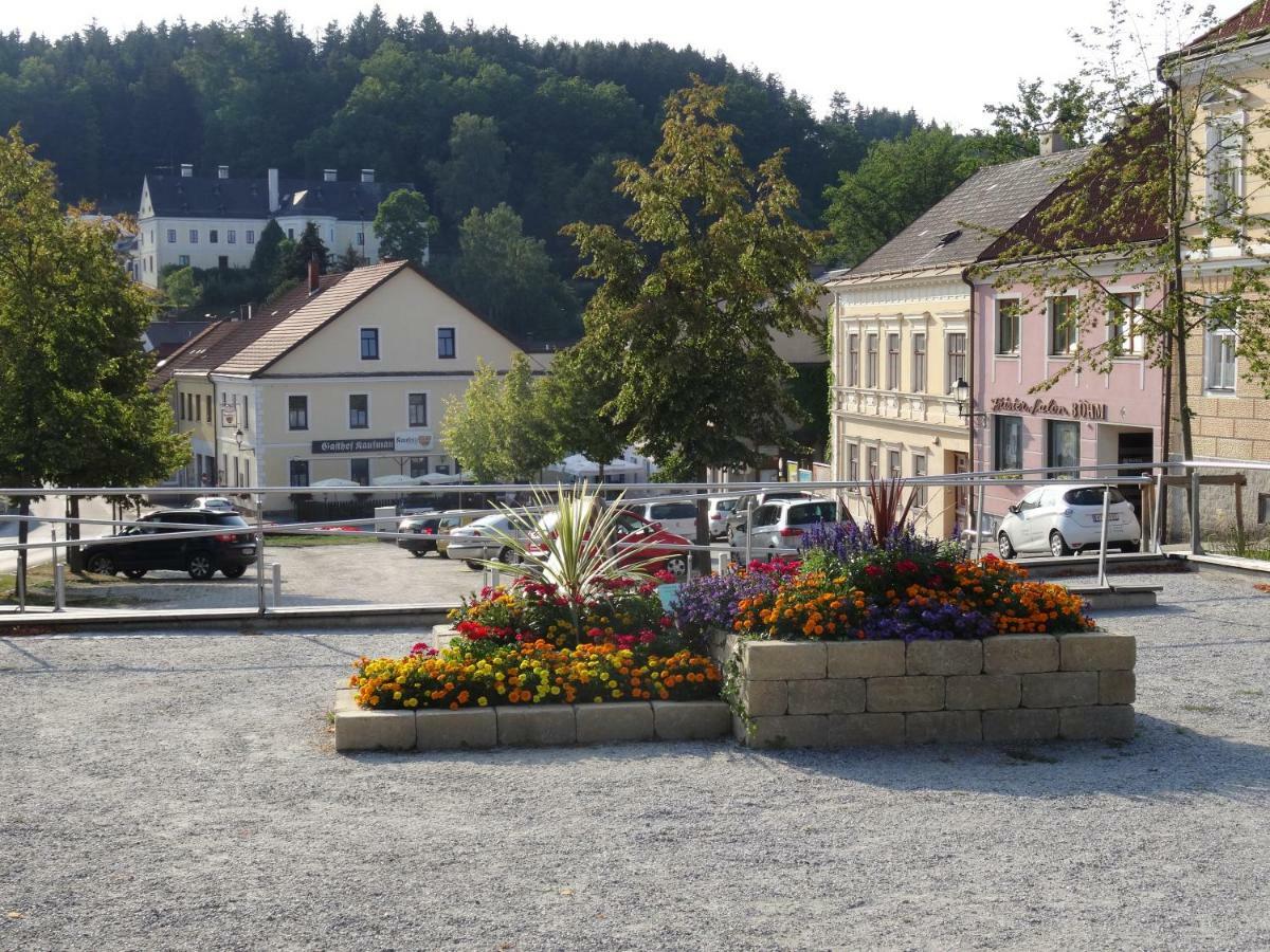 Gaestehaus Familie Loeffler - Ferienwohnung Am Stadtplatz In Litschau Extérieur photo